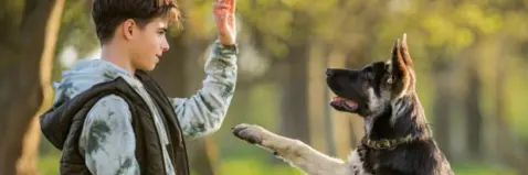 Adiestramiento canino