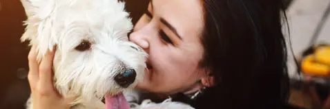 Internado veterinario